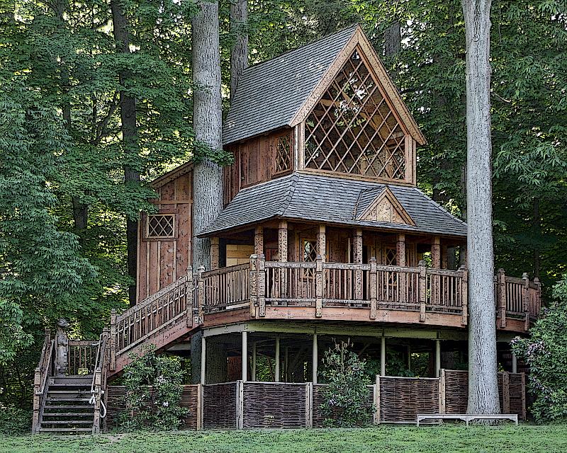 IMG_0001-2 tree house.jpg